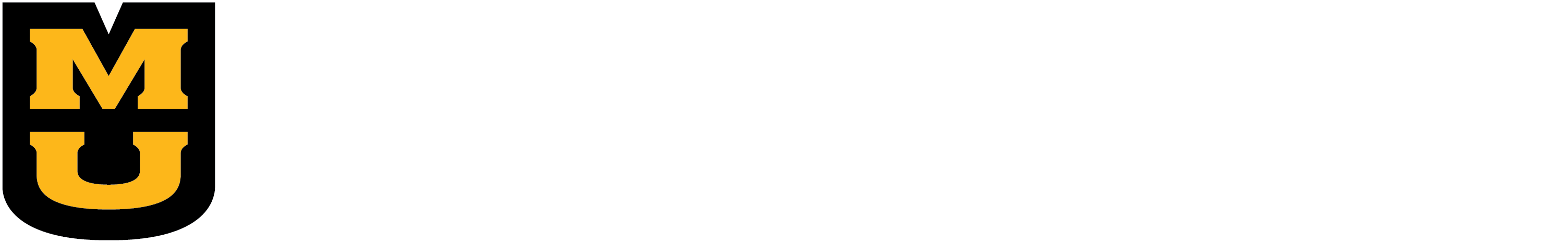 Missouri University Health Care